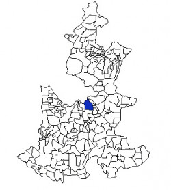 Nopalucan